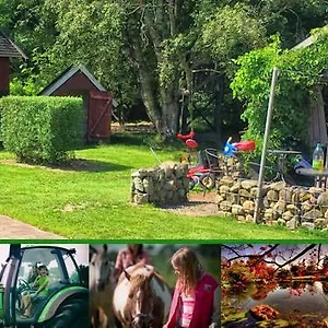 Stutteri Skandihest Vakantieboerderij